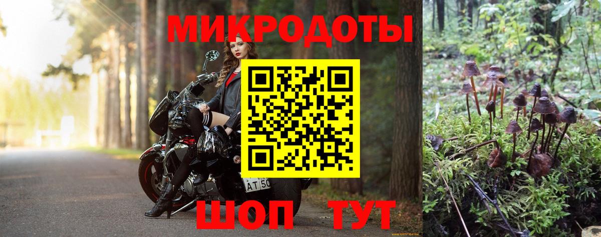 Галлюциногенные грибы MAGIC MUSHROOMS  Галлюциногенные грибы GOLDEN TEACHER  Татарск  Вход с VPN 
