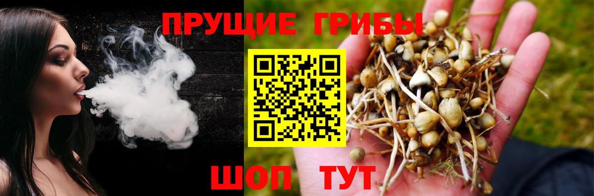 Галлюциногенные грибы Psilocybine cubensis Татарск